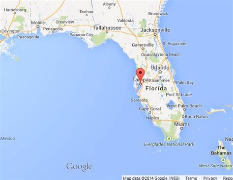 Tampa On Map Of Florida