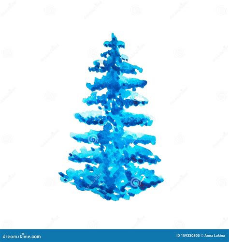 Watercolor Blue Conifer Fir Tree With Snow On The Branches Isolated On