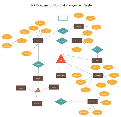 Simple Er Diagram For Hospital Management System In Dbms Ermodelexample Com