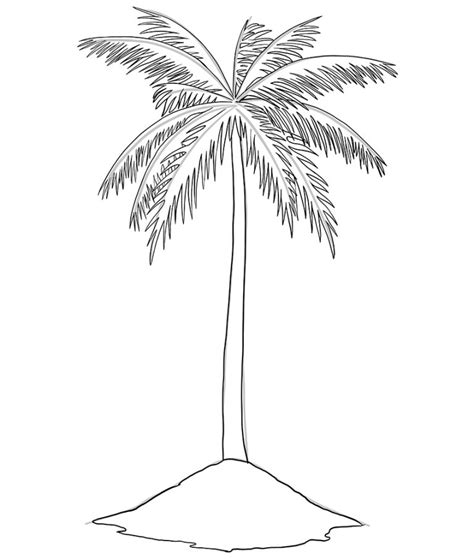 How To Draw Sabal Palm Tree Easy Hansen Phers1963