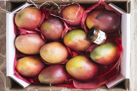 Mango Box Buy Mangoes From Our Farm In Malaga