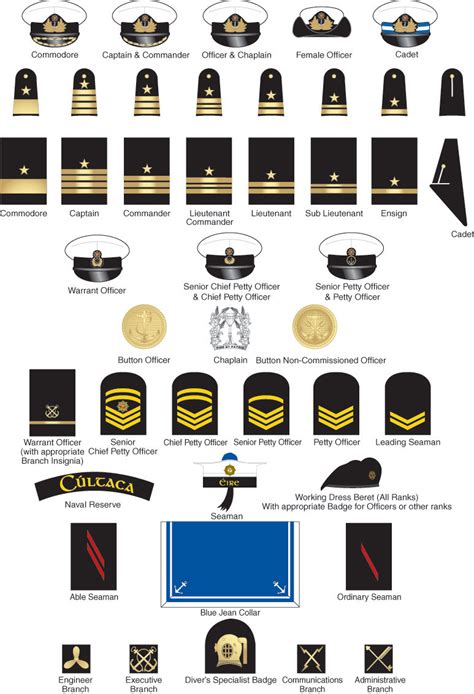 United States Navy Rank Insignia Pictures To Pin On Pinterest Pinsdaddy