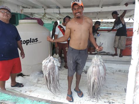 Podrán Pescar Pulpo Durante Todo Diciembre En Yucatán Poresto