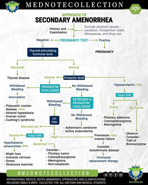 Approach To Secondary Amenorrhea Medizzy