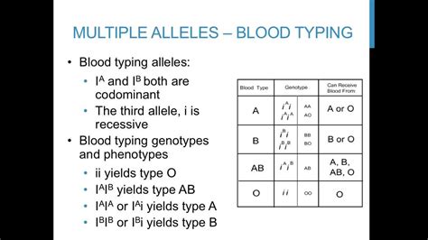 Blood Type Punnett Square Worksheet
