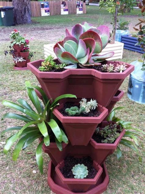How To Grow Pretty Flowers In Vertical Gardening Pots With