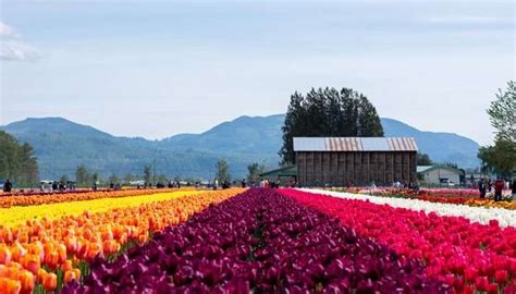 12 Best Things To Do In Abbotsford In 2023 You Cannot Leave Without