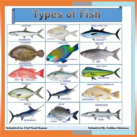 Types Of Fishes And Their Names