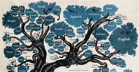 The Tree of Languages Illustrated in a Big, Beautiful Infographic ...