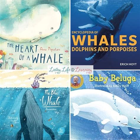 Books About Whales For Kids