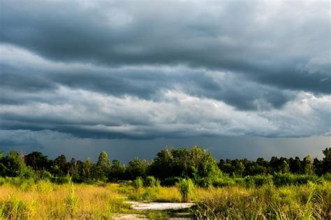 Premium Photo Dark Storm Clouds Over Meadow With Green Grass