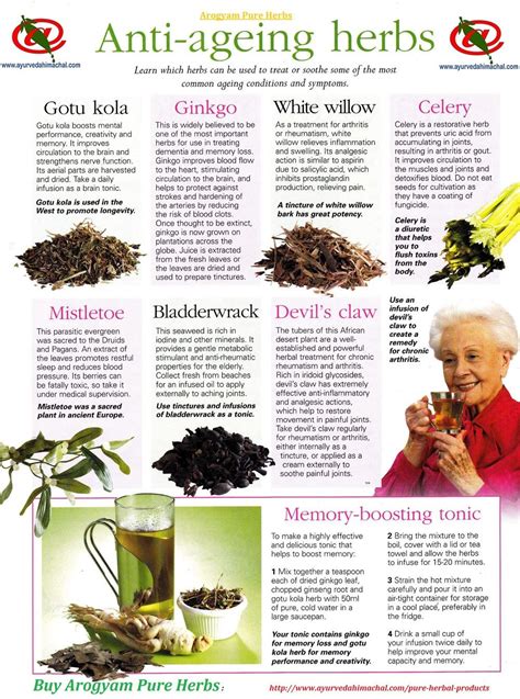 Its functionality is similar to ginseng. Anti-Ageing Herbs http://www.ayurvedahimachal.com/pure ...