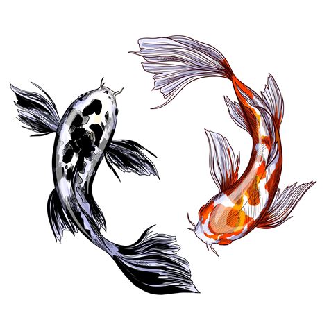 Two Koi Carps With Red And Black Spots Hand Drawn Vector Illustration