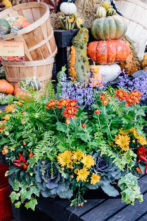 Autumn Annual Container Fall Containers Garden Center Container