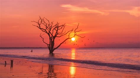 Sea Sunset Scenery Horizon Seascape 4k 3840x2160 Hd Wallpaper