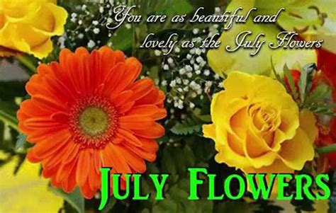 Youre As Lovely As The July Flowers Free July Flowers Ecards 123