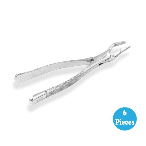 6 Dental Extracting Forceps 32a Molars Root Surgical Mart