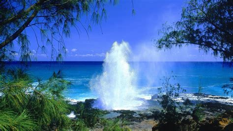 Desktop wallpapers, hd backgrounds sort wallpapers by: Free Hawaii Desktop Wallpapers - Wallpaper Cave