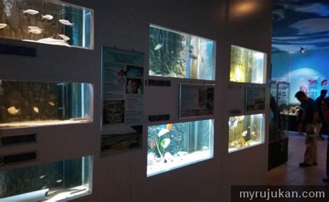 These pictures of this page are about:aquarium batu maung. Pusat aquarium batu maung - MyRujukan