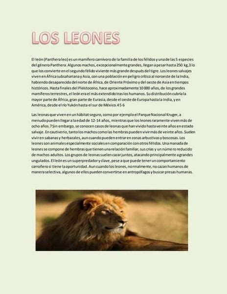 Top 94 Imagen Cualidades De Los Leones Abzlocalmx