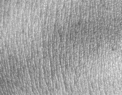 Human Skin Texture Close Up Stock Image Image Of Macro Skin 149468831