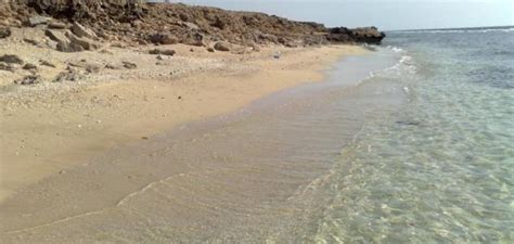 إستقبل سعادة محافظ محافظة #رابغ في مكتبه سعادة مدير إتصالات منطقة جده المهندس/ سامر القحطاني، وتم خلال اللقاء استعراض جميع إحتياجات. مدينة رابغ - حروف عربي