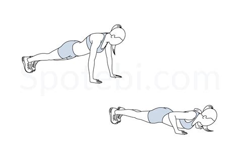 Push Up Illustrated Exercise Guide