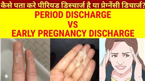 Period Discharge Vs Early Pregnancy Discharge Difference Between