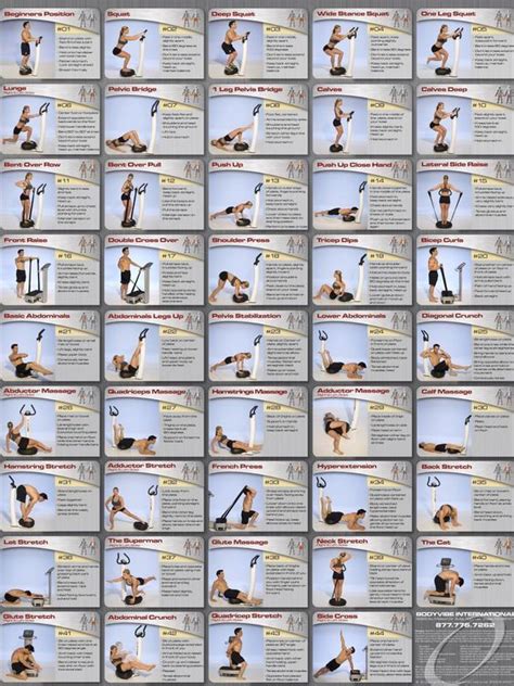 Vibefitca Whole Body Vibration Exercise Chart Avec Images