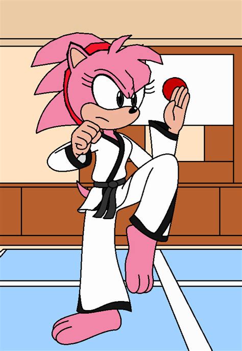 Classic Amy Doing Karate By Anonyman998 On Deviantart