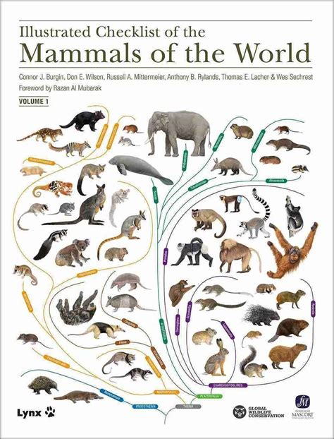 Illustrated Checklist Of The Mammals Of The World Lynx Edicions