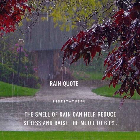 Best Quotes On Rain Rain Status Updated Rainy Weather Quotes