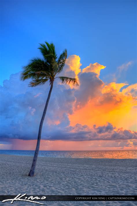Fort Lauderdale Beach Park Sunrise Coconut Tree Hdr Photography By