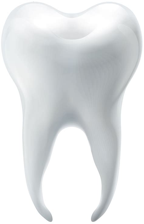 Molar Tooth Png Clip Art Best Web Clipart