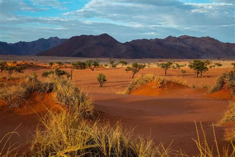 All The Best Reasons To Visit The Namib Desert