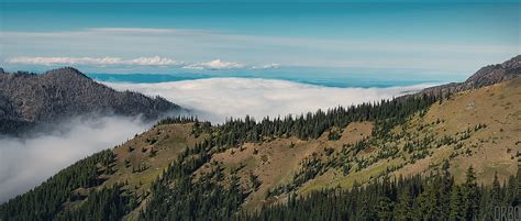 In The Mountains Of Olympic National Park Washington Rcinemagraphs