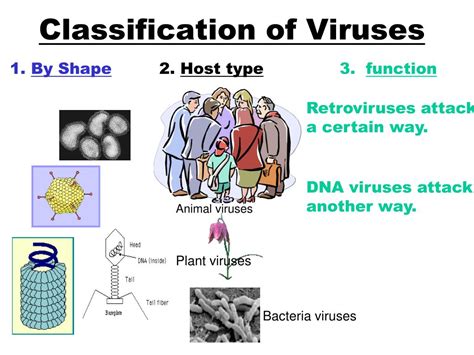 Ppt Viruses Powerpoint Presentation Free Download Id6364568