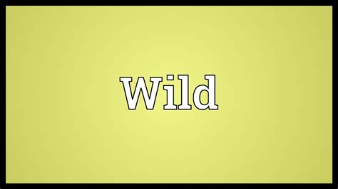 Wild Meaning Youtube