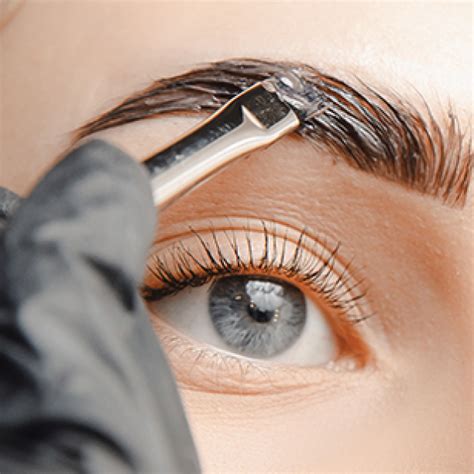 Eyelash And Eyebrow Tinting Natalies Skin Solutions