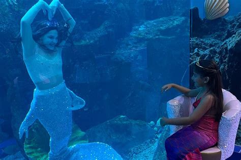 Mermaids Of Arabia Dubai All You Need To Know Before You Go