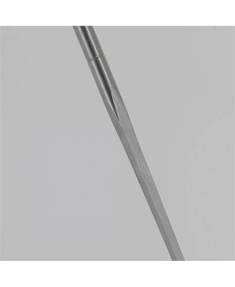 Cannes Fayet Sword Cane