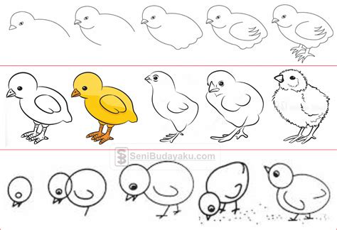 10 Cara Menggambar Ayam Dengan Mudah Tk Nu 01 Kendit