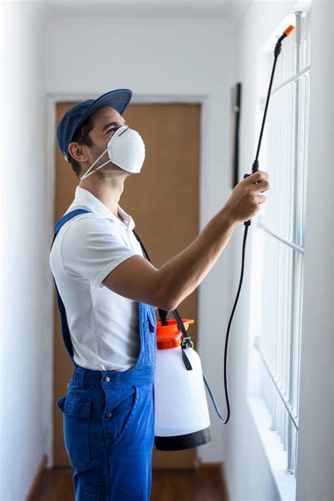 An effective bug spray may be all that you need to terminate the problem. How To Prepare Your Home For A Pest Control Treatment in Melbourne | All Guard Pest Control