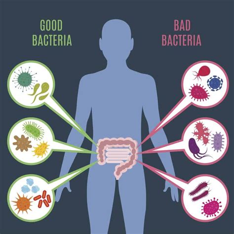 10 Useful Bacteria
