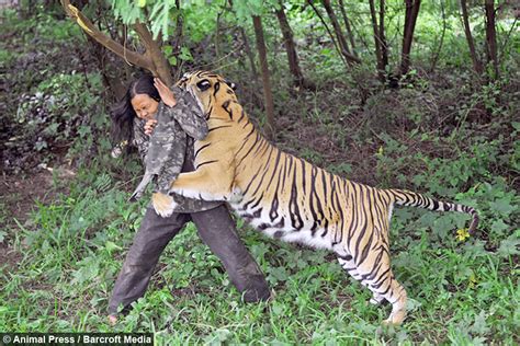 Unbelievable Tiger Attack Animals Attacking Humans
