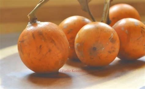 5 amazing health benefits of the african star apple agbalumo udara novice2star