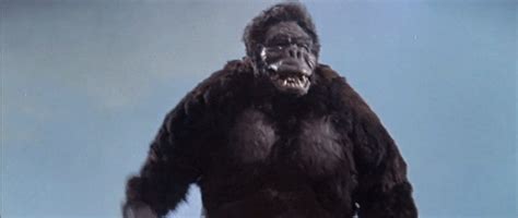 Share the best gifs now >>>. HorrorScience King Kong Vs Godzilla (1962) - Portal ...