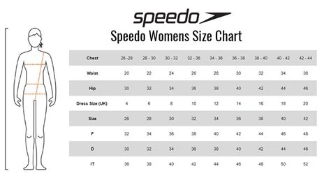 Speedo Pure Valor Size Chart