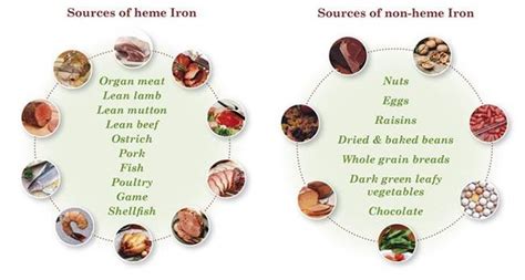Top 5 Iron Rich Foods You Must Have When Pregnant