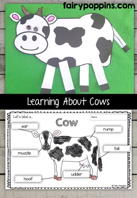 Label Parts Of A Cow Worksheet All About Cow Photos